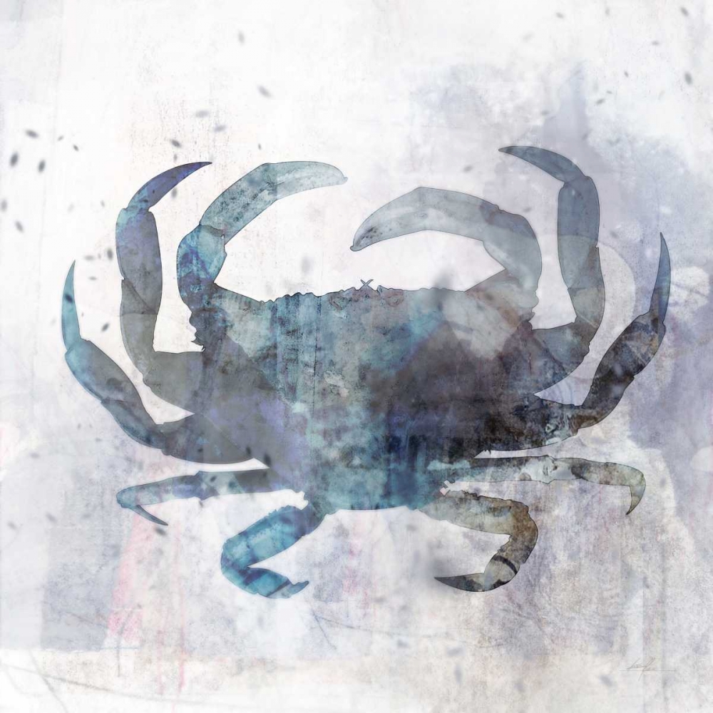 Coastal Mist Crab art print by Ken Roko for $57.95 CAD