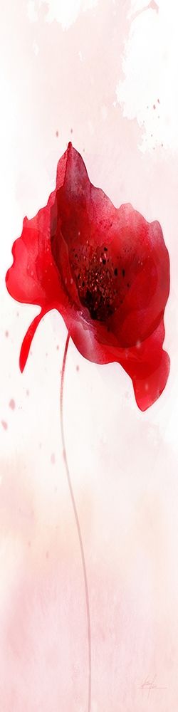Rain Shower Poppy 1 art print by Ken Roko for $57.95 CAD