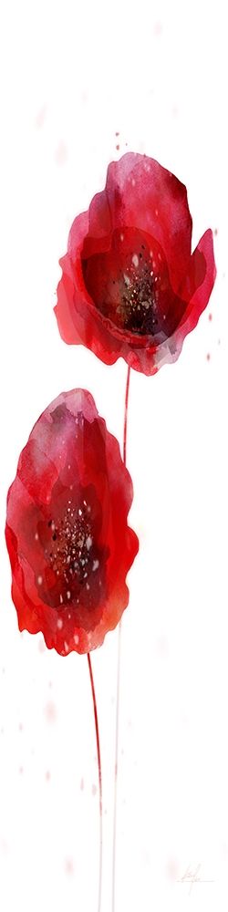 Rain Shower Poppy 2 art print by Ken Roko for $57.95 CAD