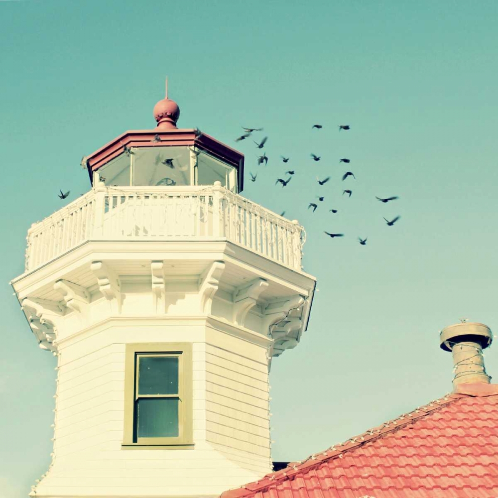 Lighthouse Birds art print by Vicki Dvorak for $57.95 CAD
