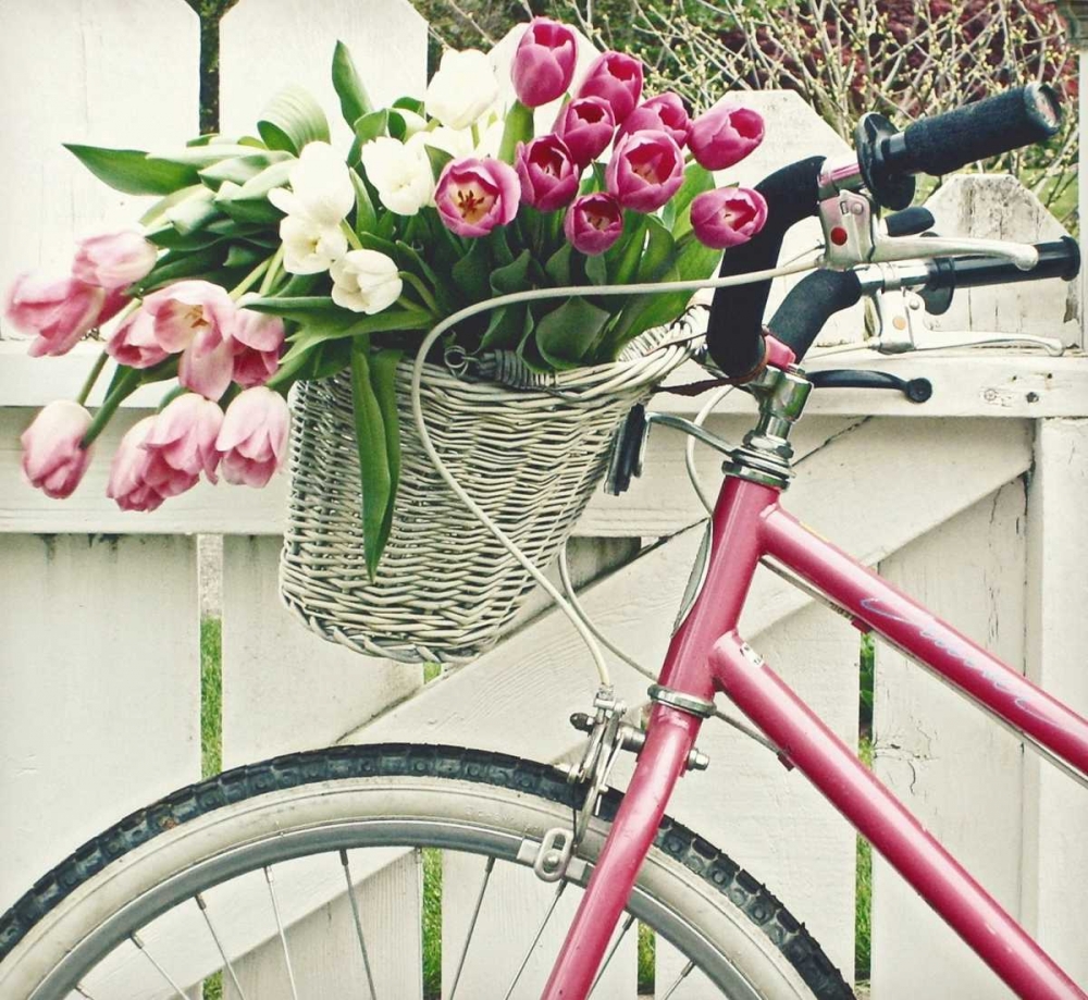 Basket Of Tulips art print by Vicki Dvorak for $57.95 CAD