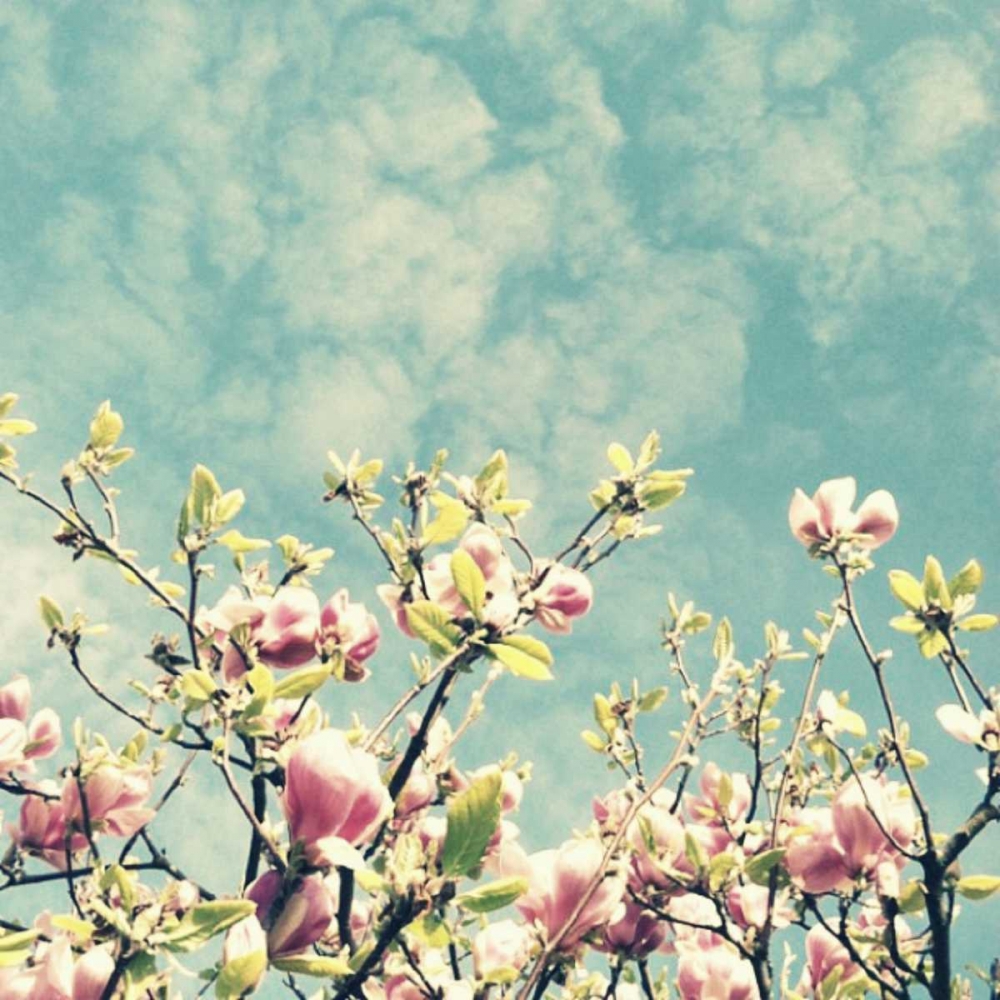 Reach Out art print by Vicki Dvorak for $57.95 CAD