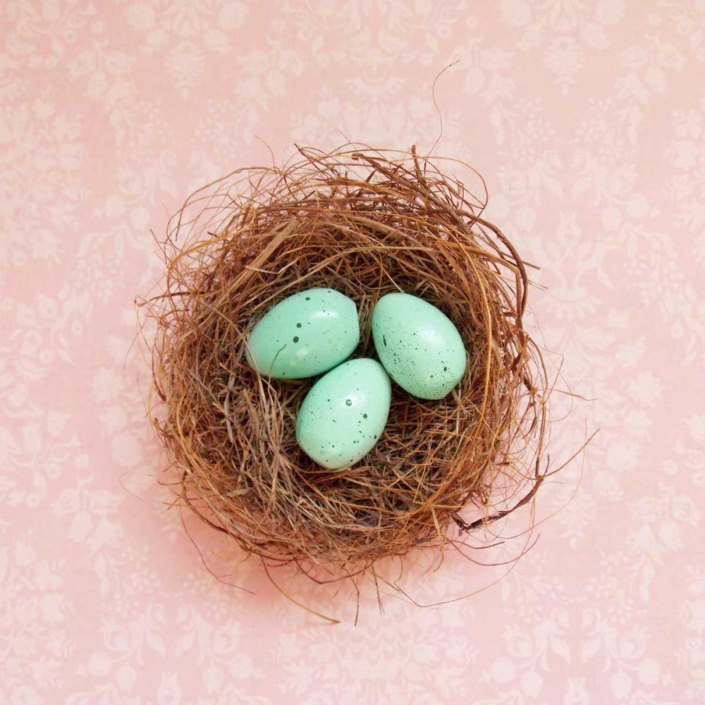Vintage Nest on Pink art print by Vicki Dvorak for $57.95 CAD