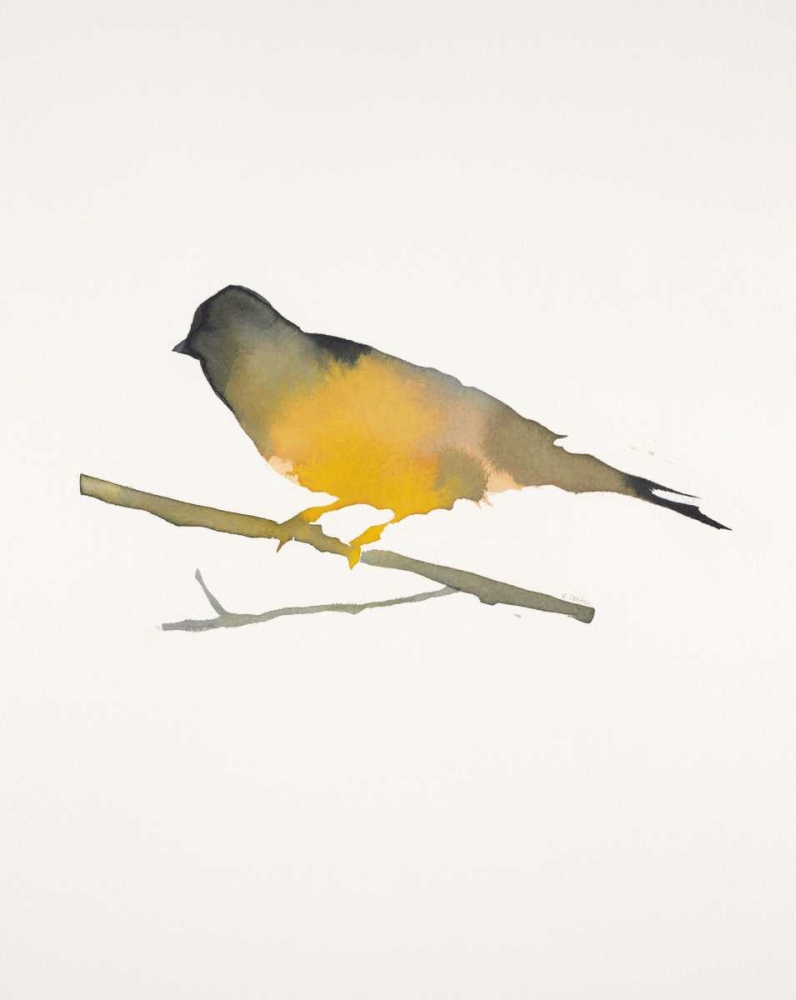 Water Bird 4 art print by Megan Swartz for $57.95 CAD