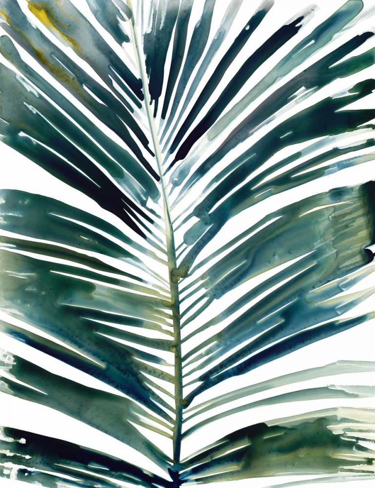 Tropical palm art print by Megan Swartz for $57.95 CAD