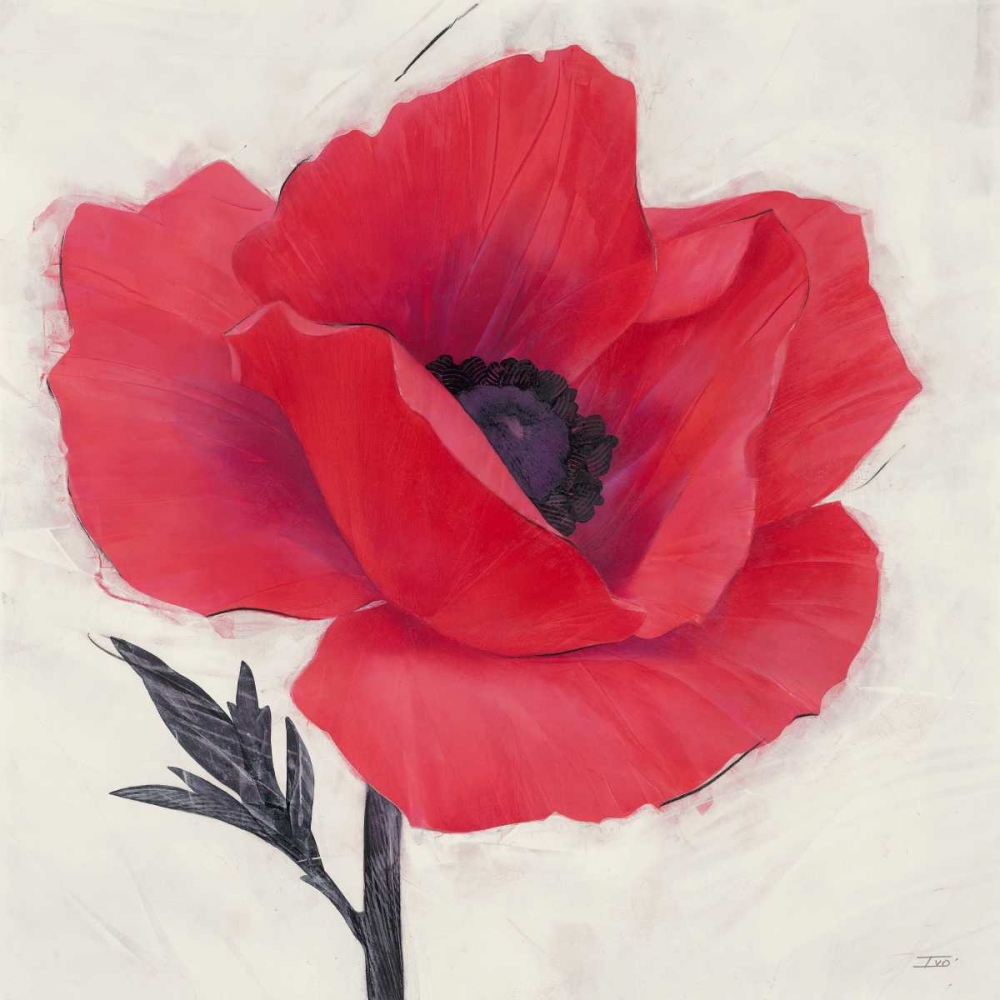 Jubilant Poppy art print by Ivo Stoyanov for $57.95 CAD