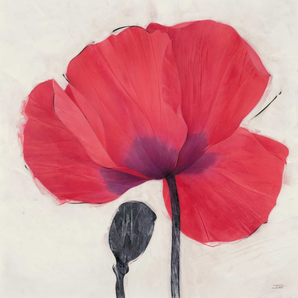 Joyous Poppy art print by Ivo Stoyanov for $57.95 CAD