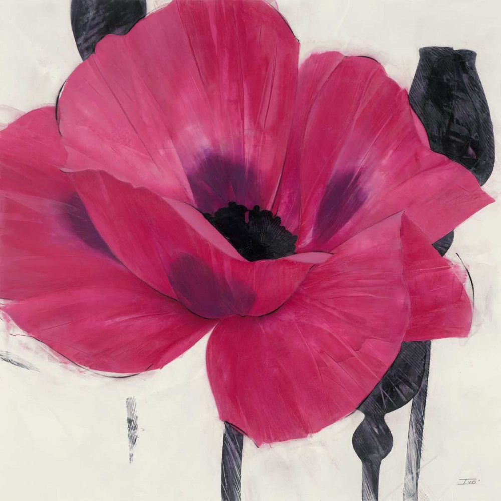 Elated Poppy art print by Ivo Stoyanov for $57.95 CAD