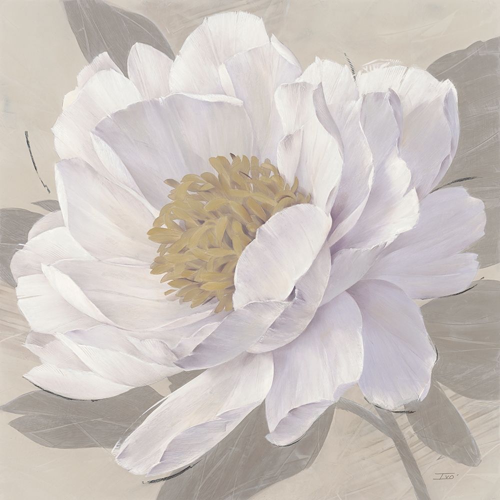 In Full Bloom 2 art print by Stoyanov for $57.95 CAD