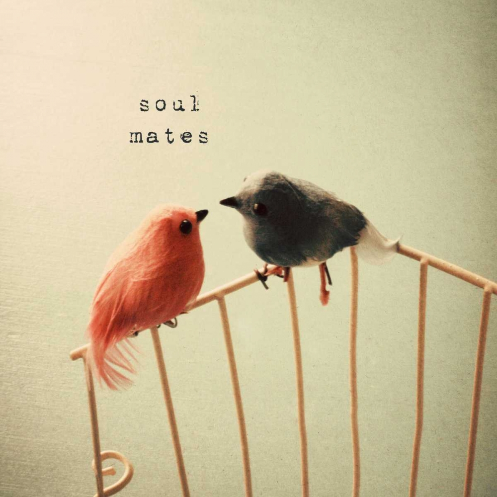 Soulmates art print by Susannah Tucker Photography for $57.95 CAD