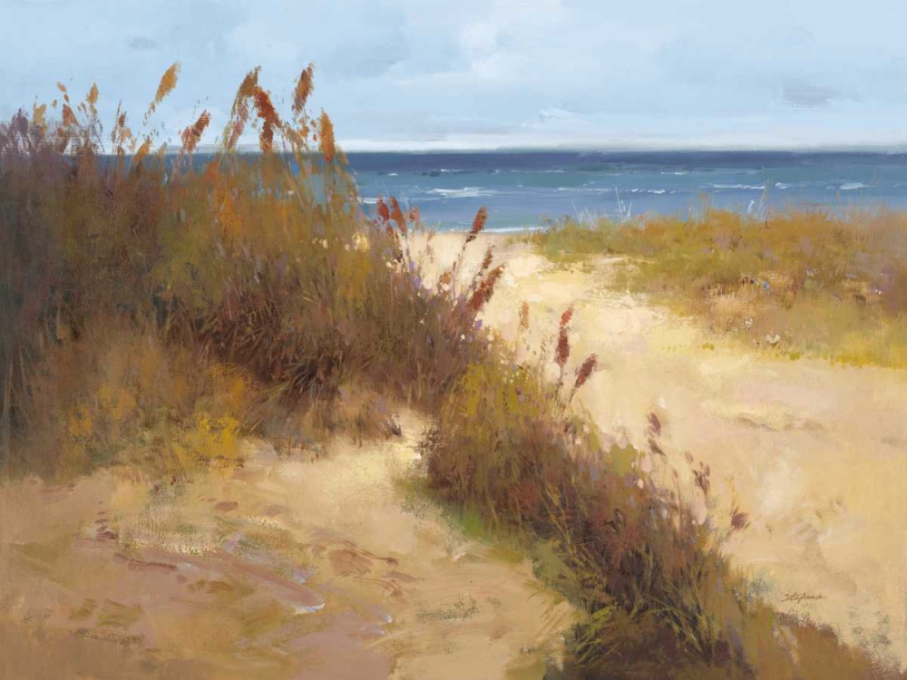 Beach Trail 2 art print by Stefano for $57.95 CAD
