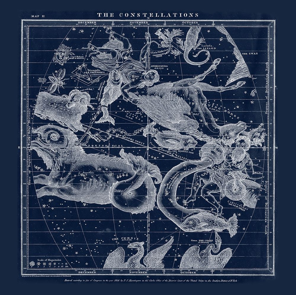 The Constellations art print by Adam Shaw Cartography for $57.95 CAD