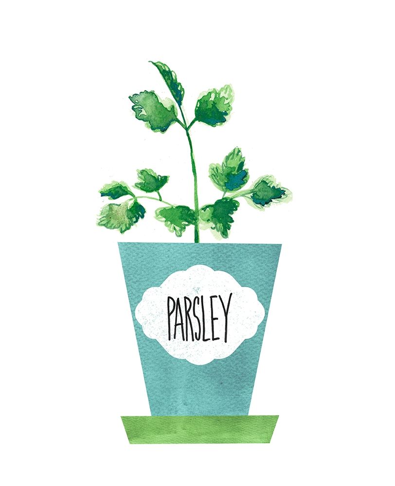Parsley Pot art print by Bella Dos Santos for $57.95 CAD