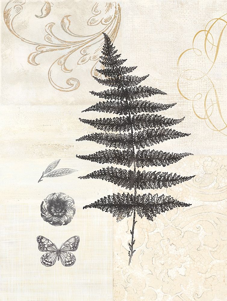 CLASSIC FERN art print by Devon Ross for $57.95 CAD