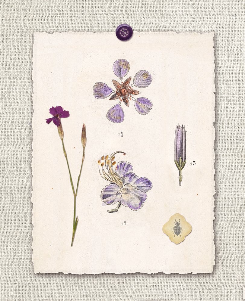 Paris Flea Market Petals art print by Devon Ross for $57.95 CAD