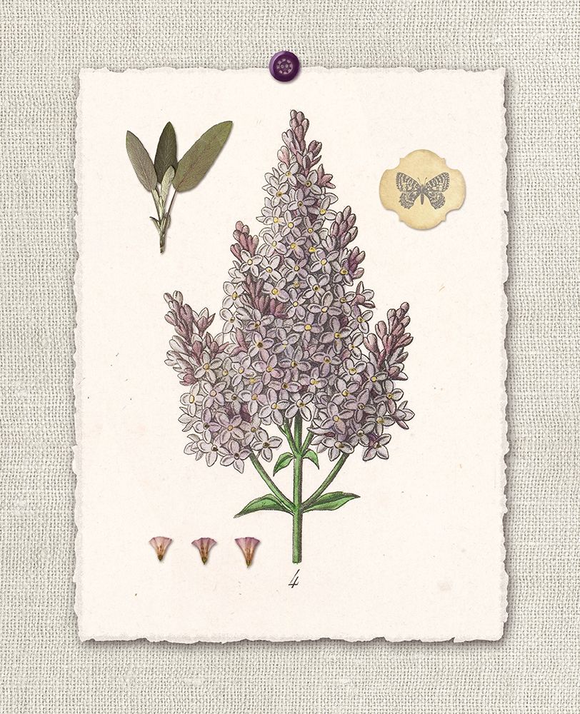 Paris Flea Market Lilacs art print by Devon Ross for $57.95 CAD