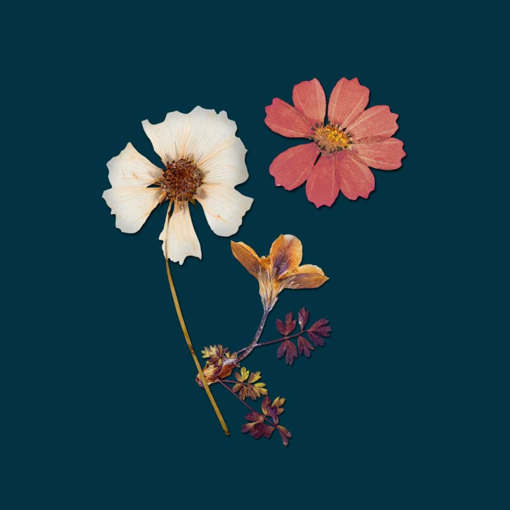 Garden Keepsake 1 art print by Devon Ross for $57.95 CAD