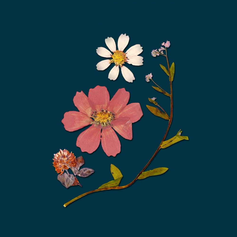 Garden Keepsake 2 art print by Devon Ross for $57.95 CAD