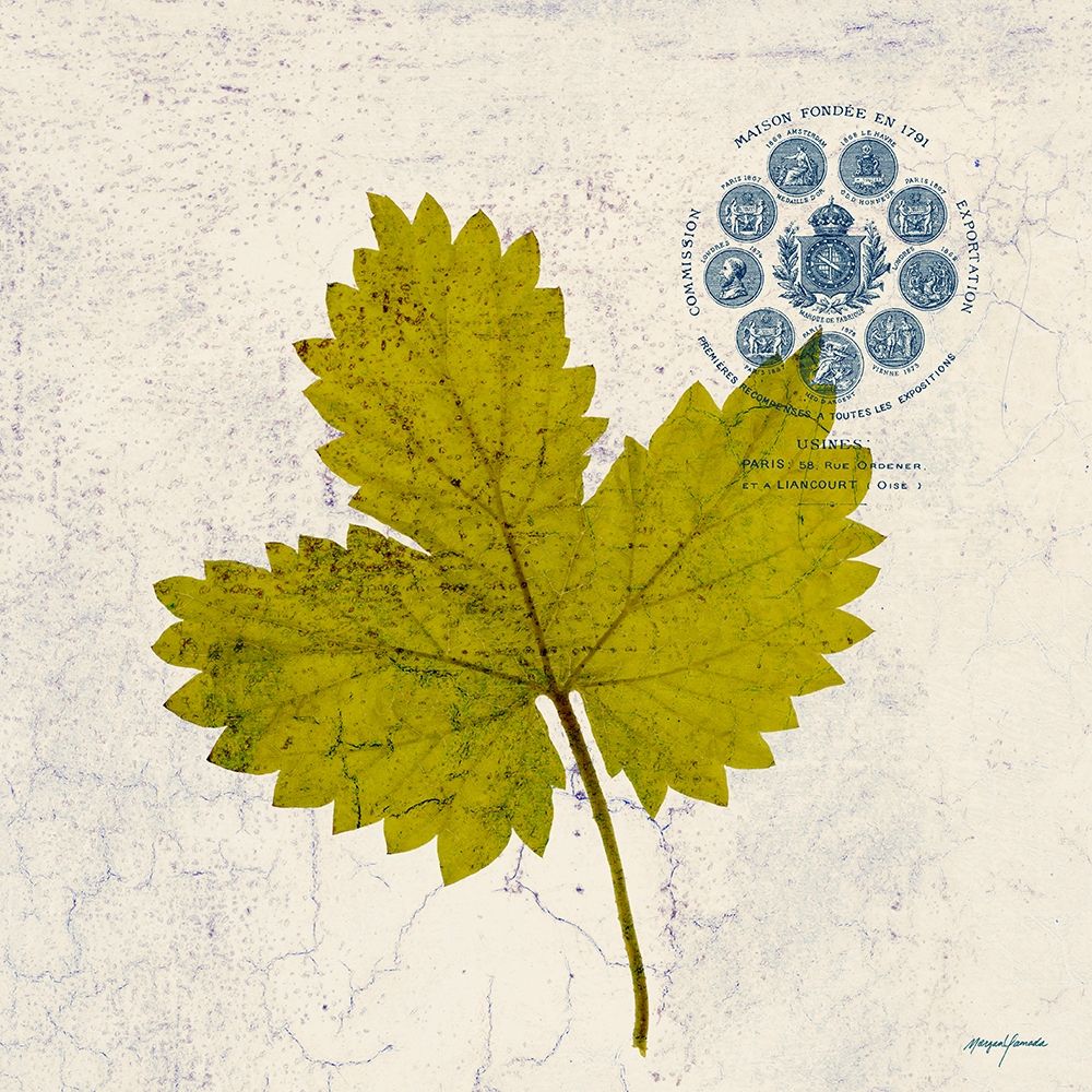 JADE FOREST LEAF 2 art print by Morgan Yamada for $57.95 CAD