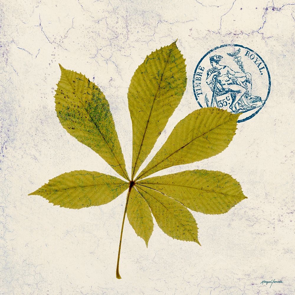 JADE FOREST LEAF 3 art print by Morgan Yamada for $57.95 CAD