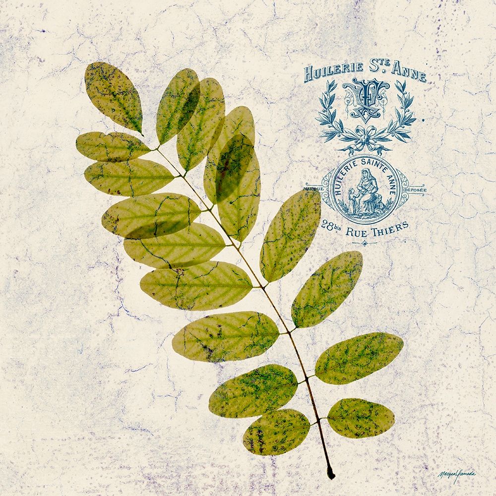 JADE FOREST LEAF 4 art print by Morgan Yamada for $57.95 CAD