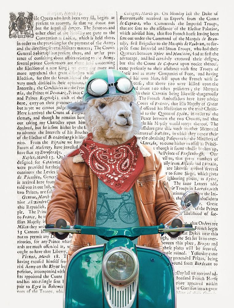 Portllama art print by Evangeline Taylor for $57.95 CAD