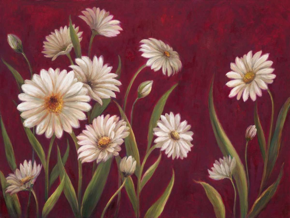 Harmony Daisies art print by Art Atelier Alliance for $57.95 CAD