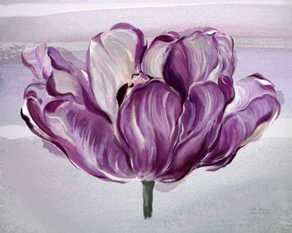 Awash In Plum Tulip art print by Art Atelier Alliance for $57.95 CAD