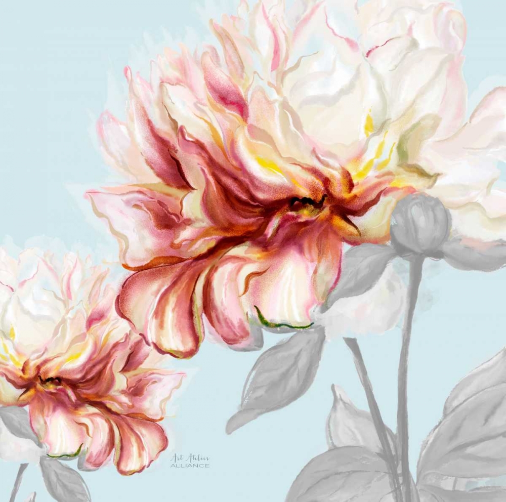 Blushing Peony Square 1 art print by Art Atelier Alliance for $57.95 CAD