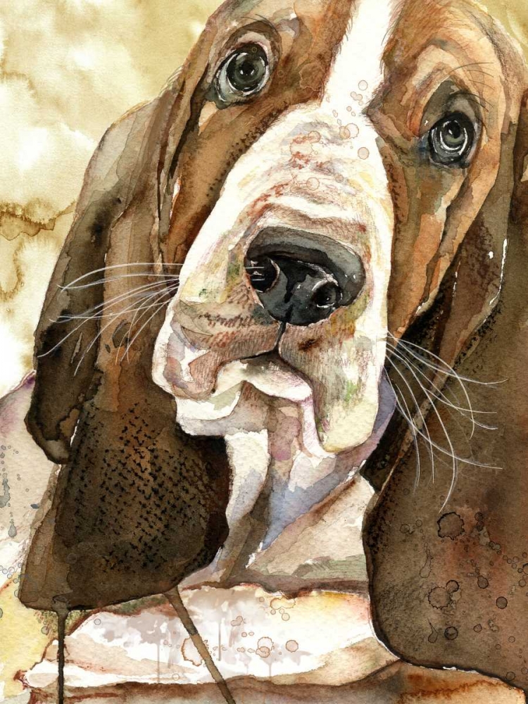 Sweet Basset Hound art print by Jin Jing for $57.95 CAD