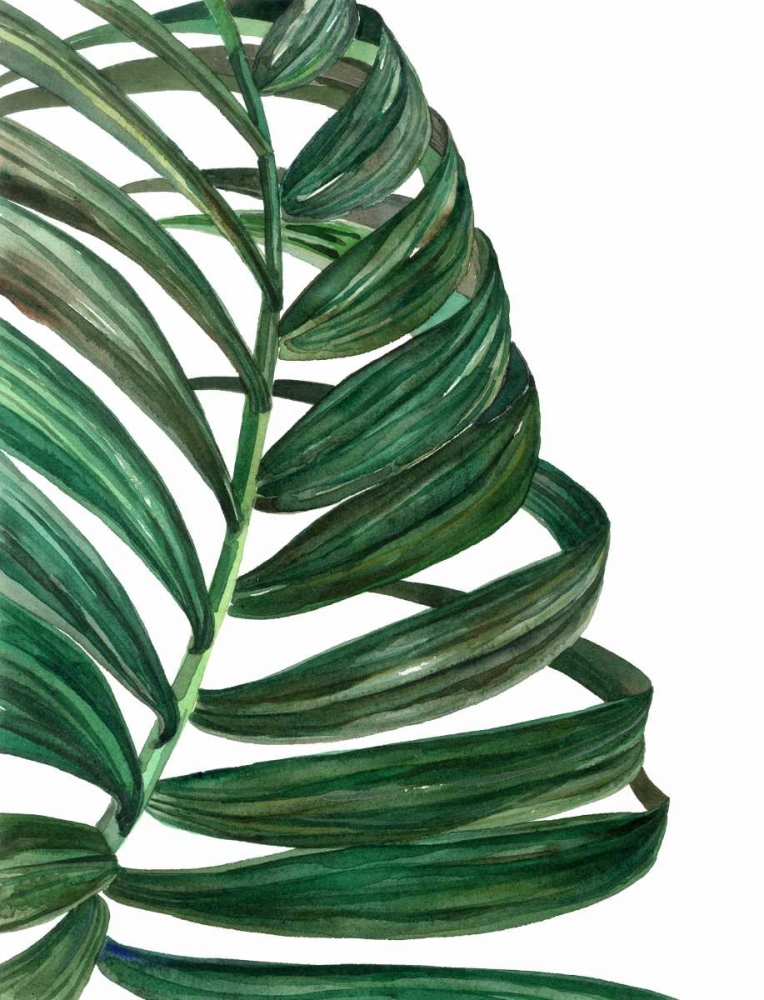 Tropical Breeze Palm 1 art print by Jin Jing for $57.95 CAD