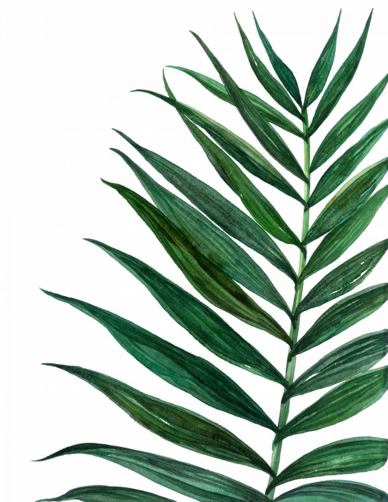Tropical Breeze Palm 2 art print by Jin Jing for $57.95 CAD