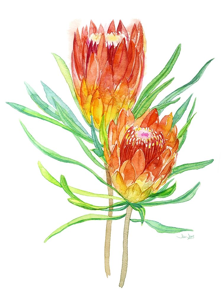 Tropical Blossoming art print by Jin Jing for $57.95 CAD