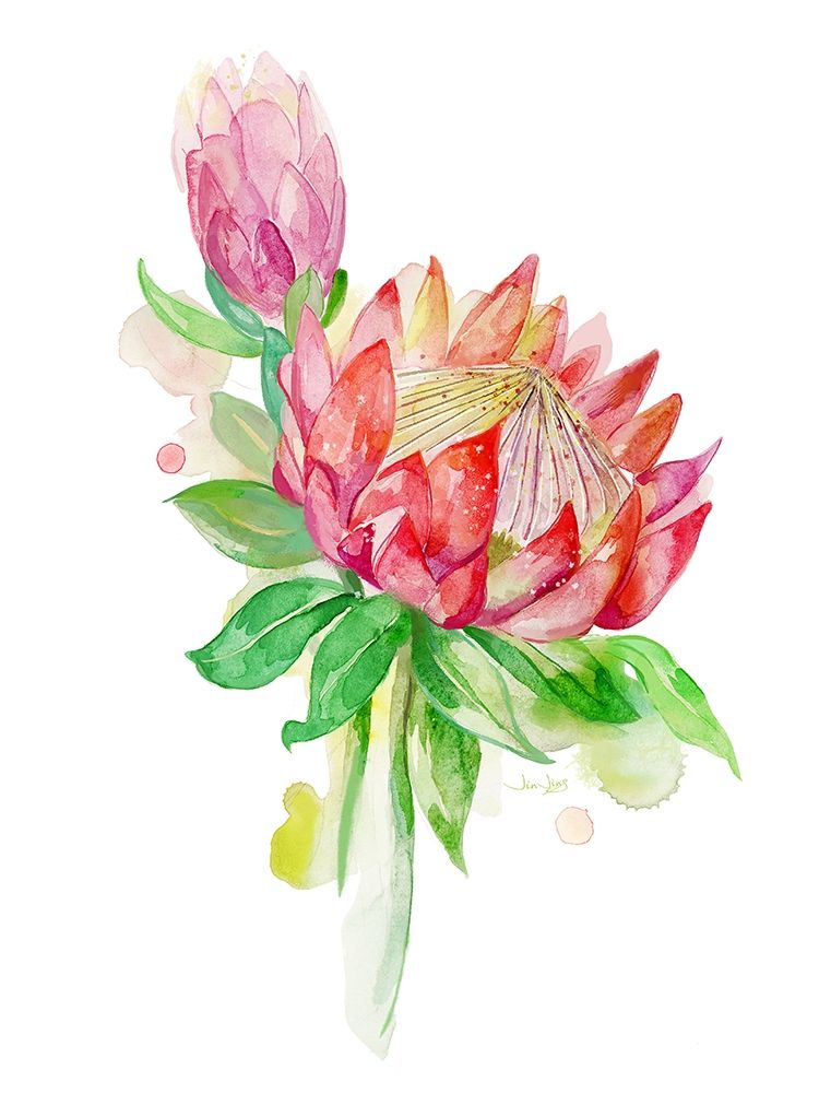 Tropical Blooming art print by Jin Jing for $57.95 CAD