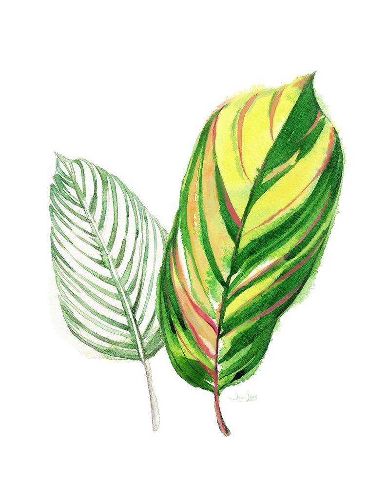 Tropical Striped Leaf art print by Jin Jing for $57.95 CAD
