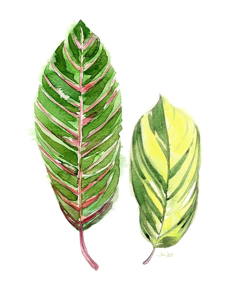 Tropical Variegated Leaf art print by Jin Jing for $57.95 CAD