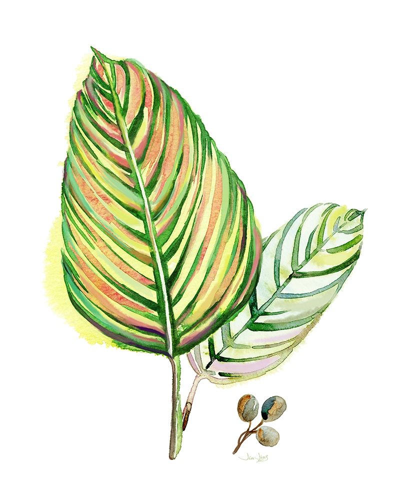 Tropical Foliage art print by Jin Jing for $57.95 CAD