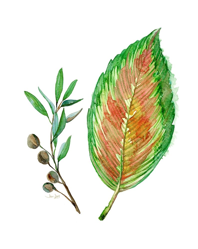 Tropical Botanical art print by Jin Jing for $57.95 CAD
