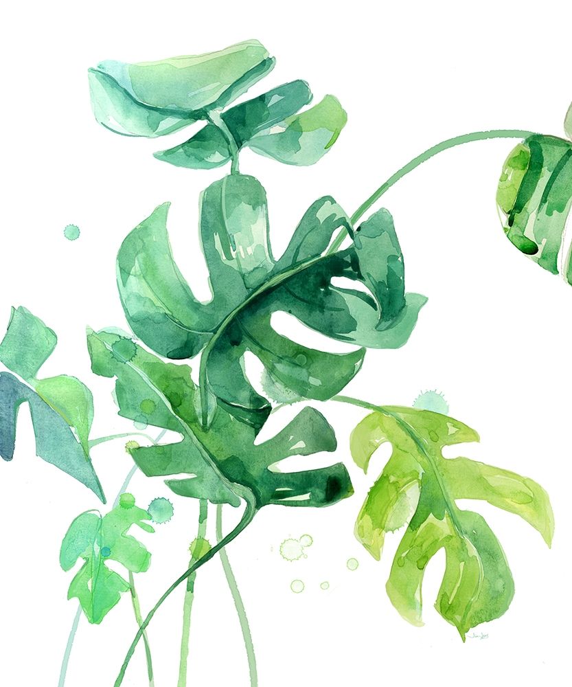Fresh Tropical 1 art print by Jin Jing for $57.95 CAD