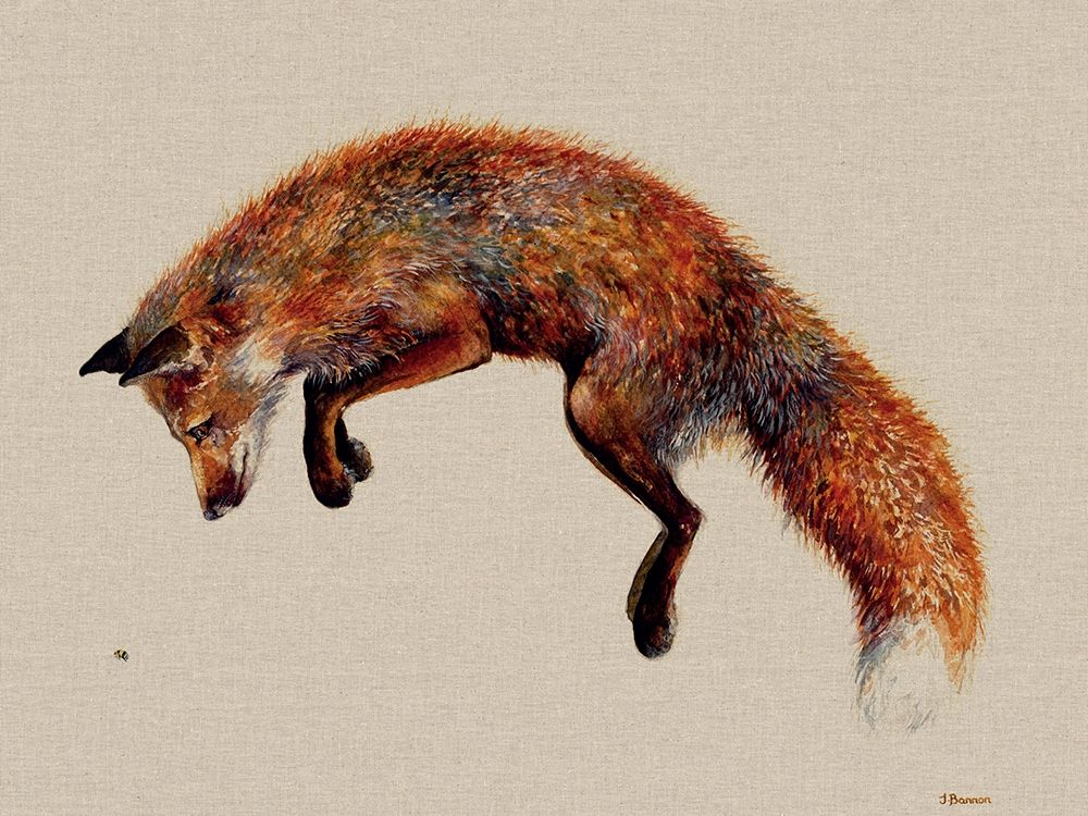 Felix and the Bee art print by Jane Bannon for $57.95 CAD