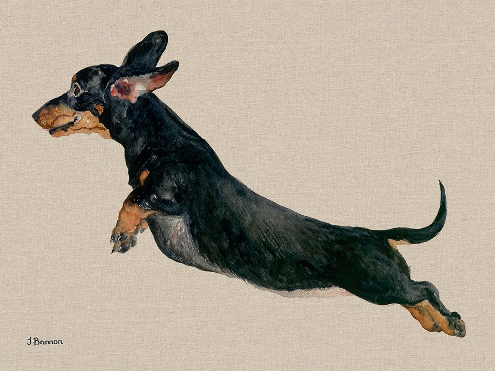 Freddy art print by Jane Bannon for $57.95 CAD