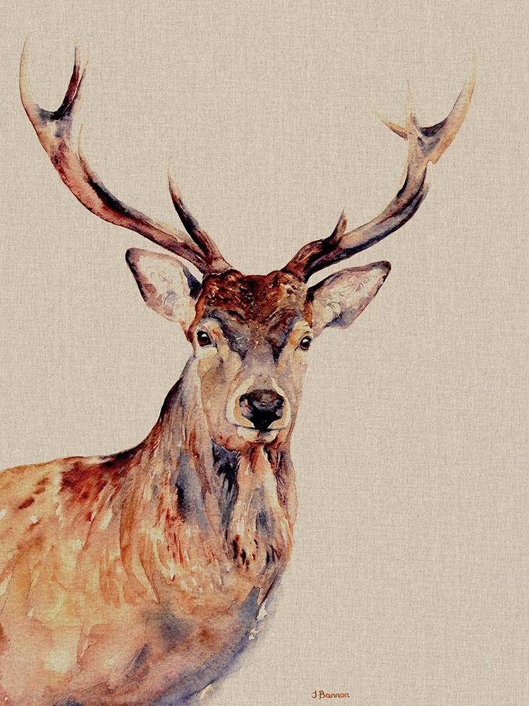 Montgomery art print by Jane Bannon for $57.95 CAD