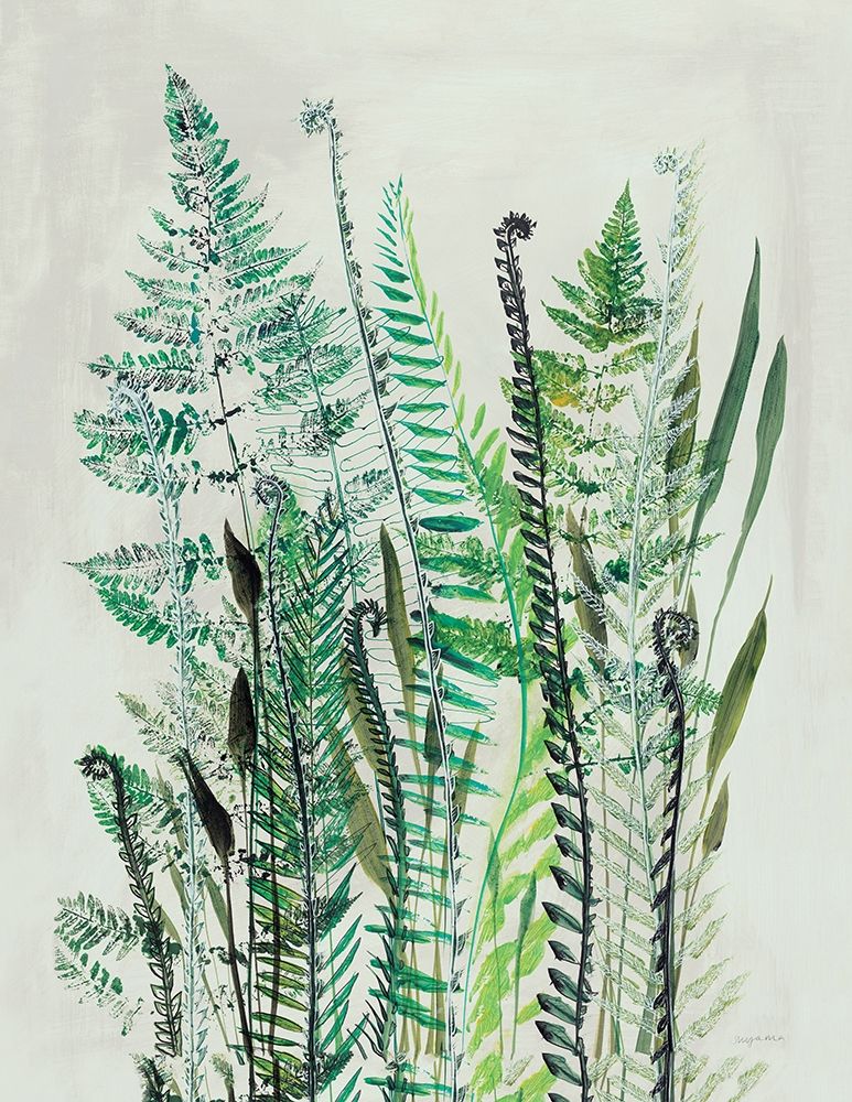 Ferns I art print by Shyama Ruffell for $57.95 CAD