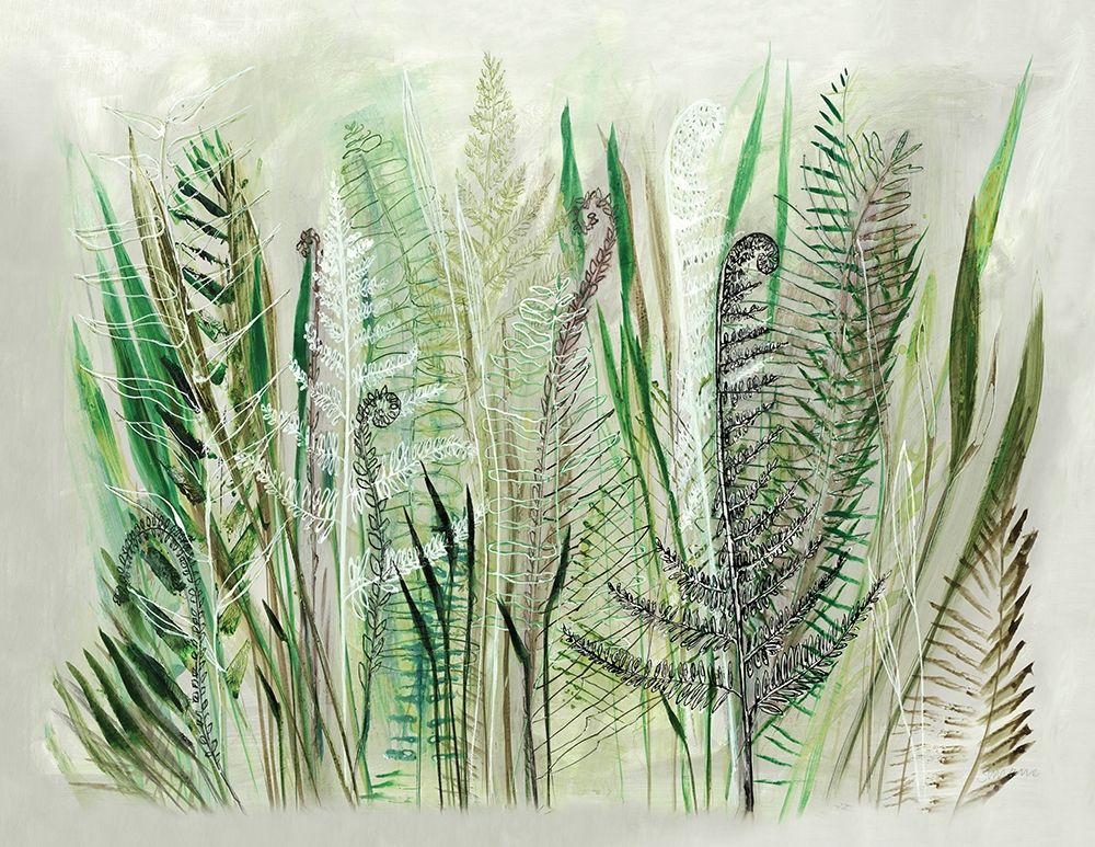 Ferns II art print by Shyama Ruffell for $57.95 CAD