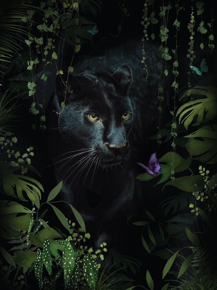 Panther art print by Summer Thornton for $57.95 CAD