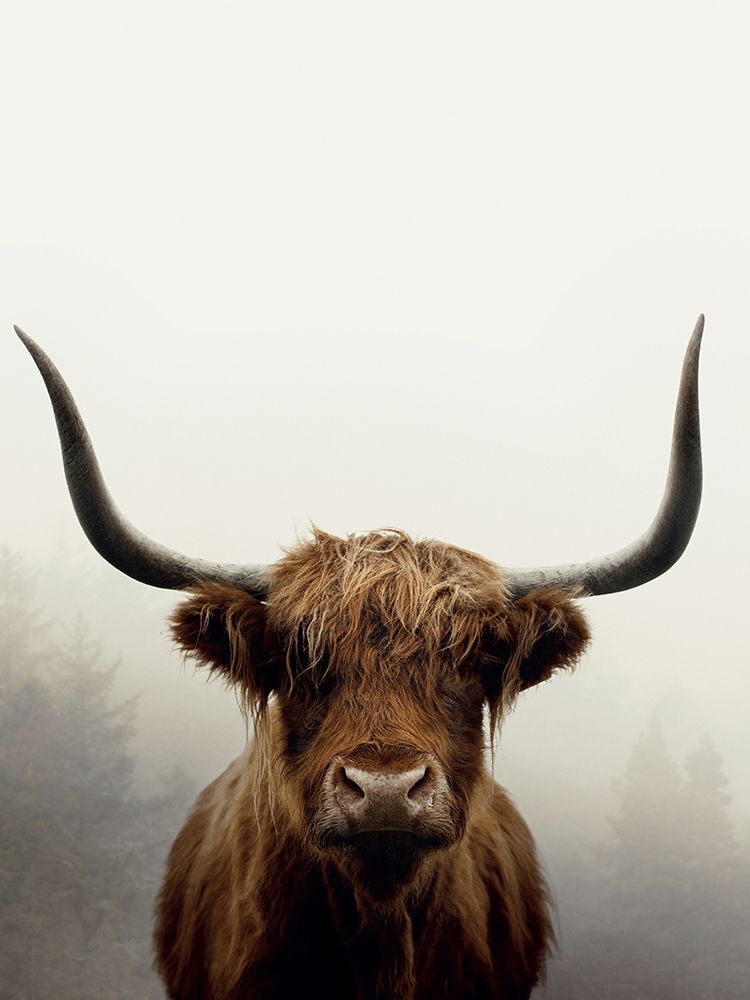 Douglas art print by Ian Winstanley for $57.95 CAD