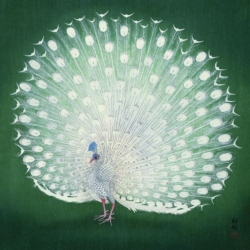 Peacock art print by Ohara Koson for $57.95 CAD