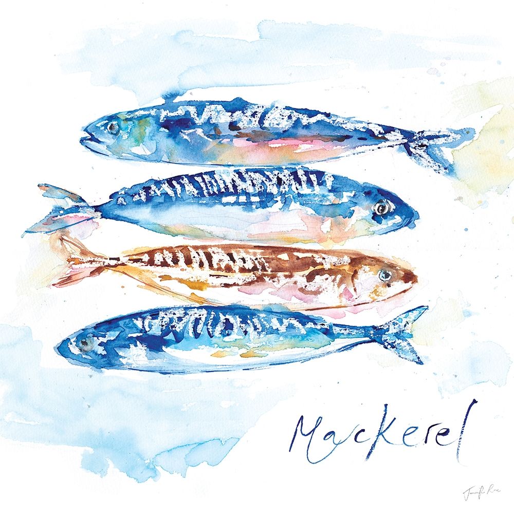 Mackerel art print by Jennifer Rose for $57.95 CAD