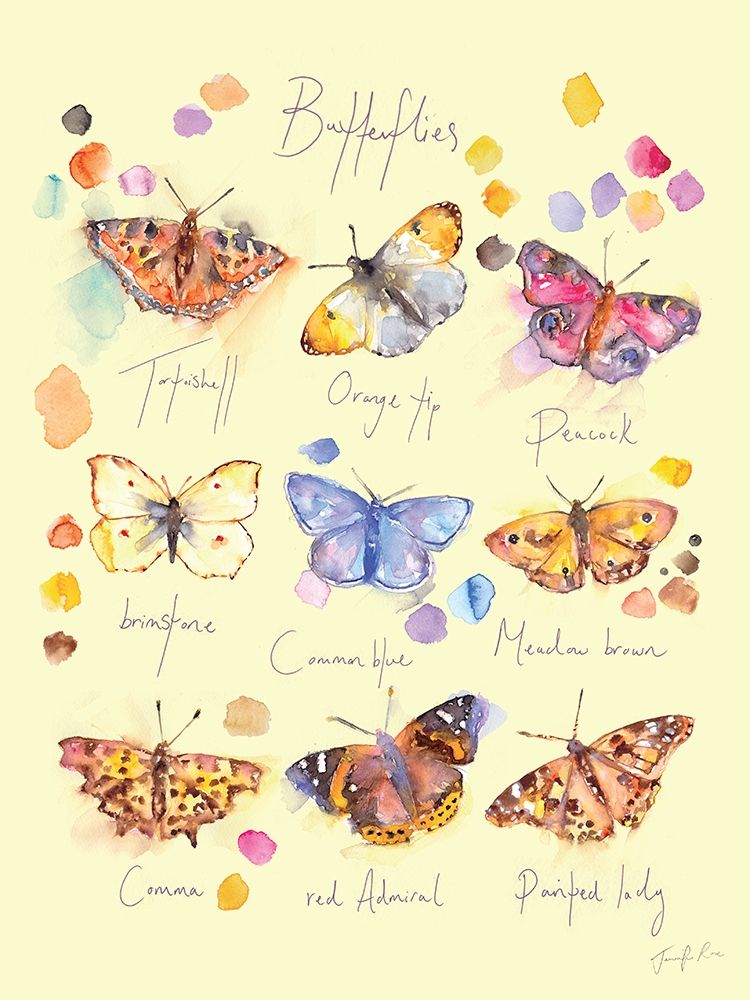 Butterflies art print by Jennifer Rose for $57.95 CAD