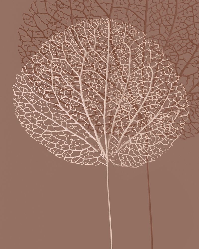 Stem Silhouette I art print by Ian Winstanley for $57.95 CAD